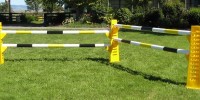 Tri Jump 120 Jump Stands